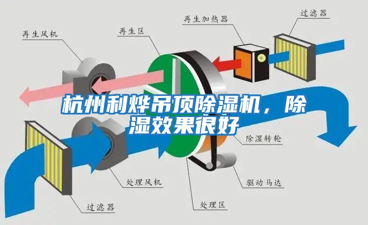 杭州利燁吊頂除濕機，除濕效果很好