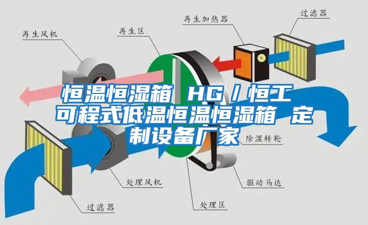 恒溫恒濕箱 HG／恒工 可程式低溫恒溫恒濕箱 定制設備廠(chǎng)家