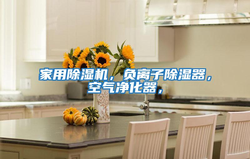 家用除濕機，負離子除濕器，空氣凈化器，