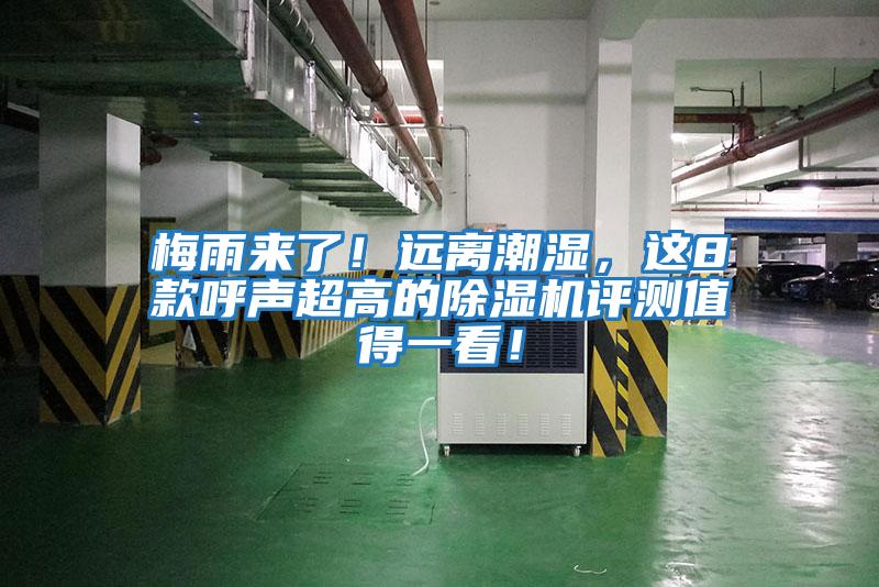 梅雨來(lái)了！遠離潮濕，這8款呼聲超高的除濕機評測值得一看！