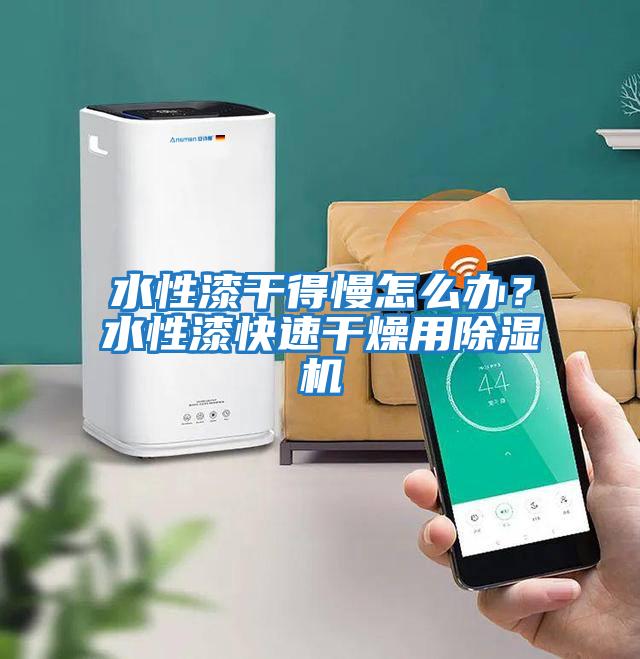 水性漆干得慢怎么辦？水性漆快速干燥用除濕機