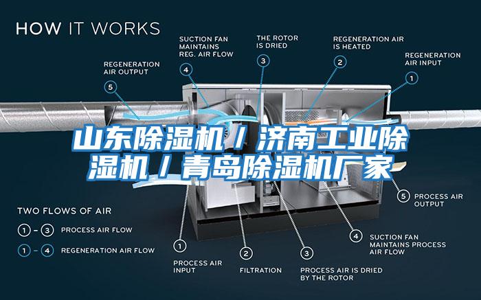 山東除濕機／濟南工業(yè)除濕機／青島除濕機廠(chǎng)家