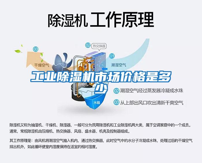 工業(yè)除濕機市場(chǎng)價(jià)格是多少