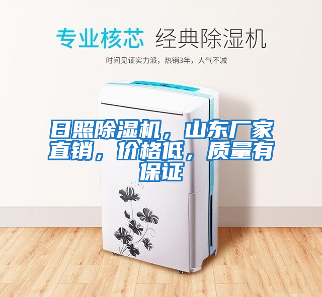 日照除濕機，山東廠(chǎng)家直銷(xiāo)，價(jià)格低，質(zhì)量有保證