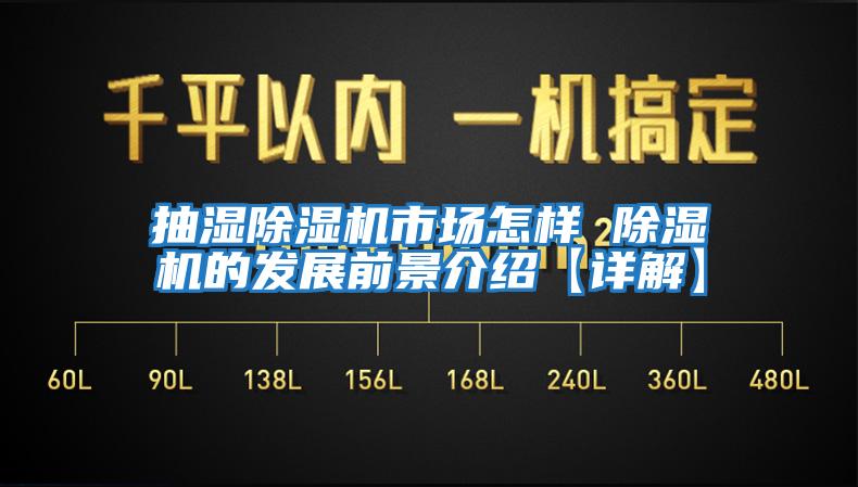 抽濕除濕機市場(chǎng)怎樣 除濕機的發(fā)展前景介紹【詳解】