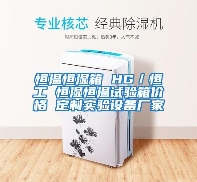 恒溫恒濕箱 HG／恒工 恒濕恒溫試驗箱價(jià)格 定制實(shí)驗設備廠(chǎng)家