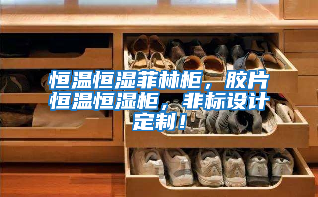 恒溫恒濕菲林柜，膠片恒溫恒濕柜，非標設計定制！