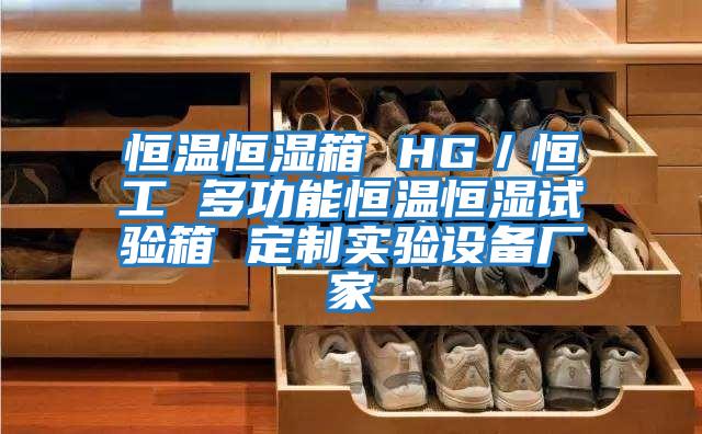 恒溫恒濕箱 HG／恒工 多功能恒溫恒濕試驗箱 定制實(shí)驗設備廠(chǎng)家