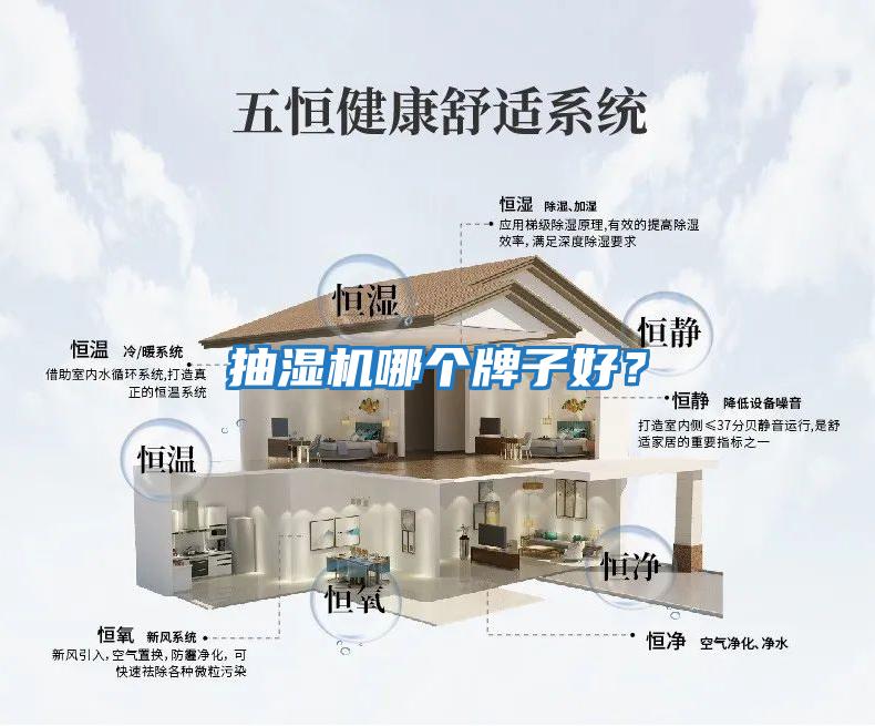 抽濕機哪個(gè)牌子好？