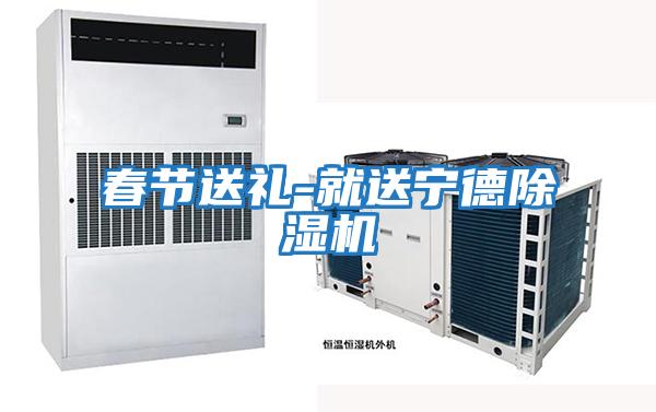 春節送禮-就送寧德除濕機