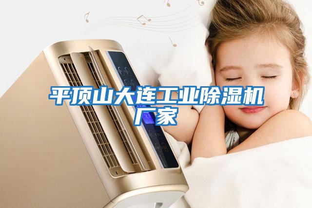 平頂山大連工業(yè)除濕機廠(chǎng)家