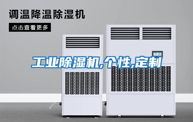 工業(yè)除濕機,個(gè)性,定制