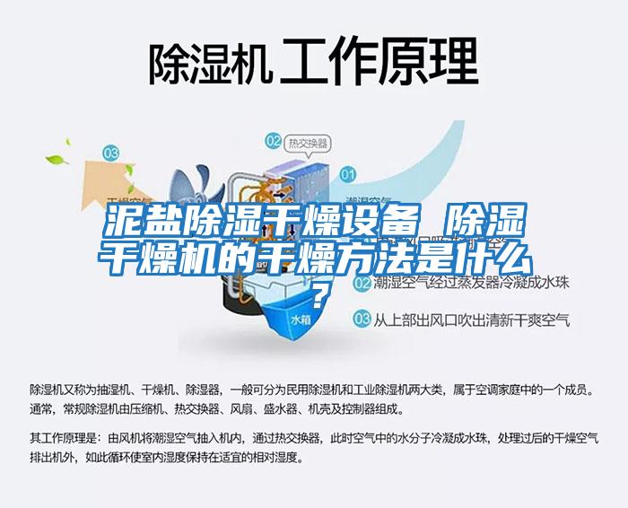 泥鹽除濕干燥設備 除濕干燥機的干燥方法是什么？