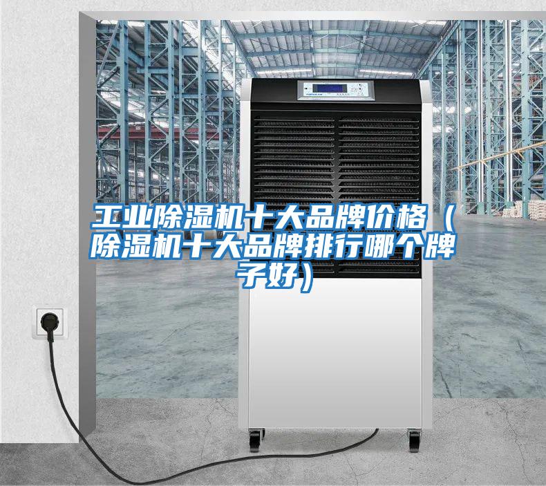工業(yè)除濕機十大品牌價(jià)格（除濕機十大品牌排行哪個(gè)牌子好）