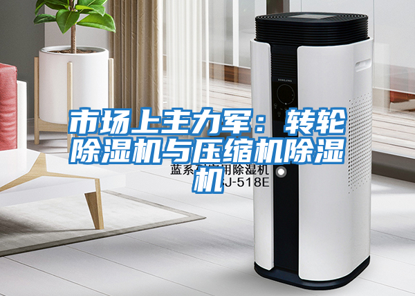 市場(chǎng)上主力軍：轉輪除濕機與壓縮機除濕機