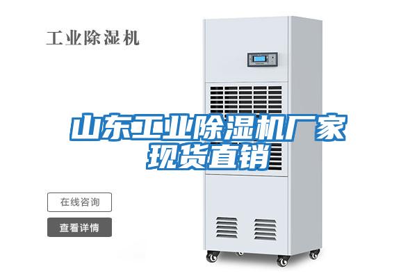 山東工業(yè)除濕機廠(chǎng)家現貨直銷(xiāo)