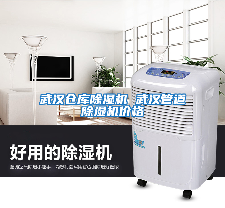 武漢倉庫除濕機 武漢管道除濕機價(jià)格
