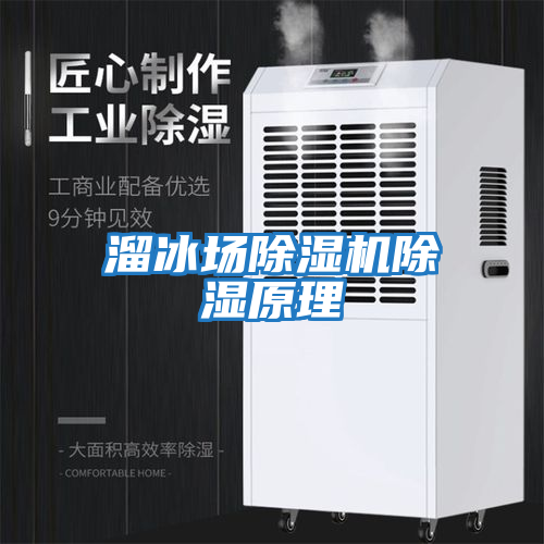 溜冰場(chǎng)除濕機除濕原理