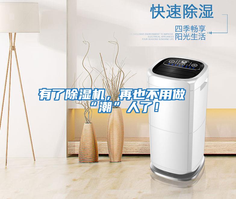 有了除濕機，再也不用做“潮”人了！
