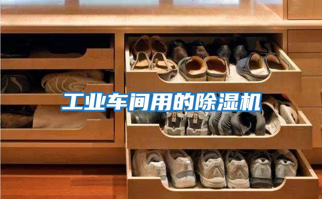 工業(yè)車(chē)間用的除濕機