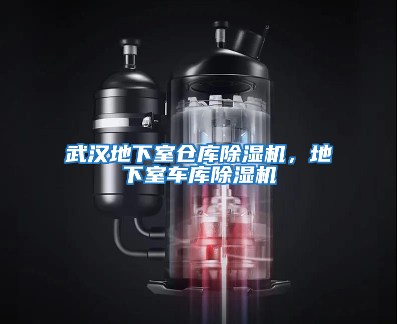 武漢地下室倉庫除濕機，地下室車(chē)庫除濕機