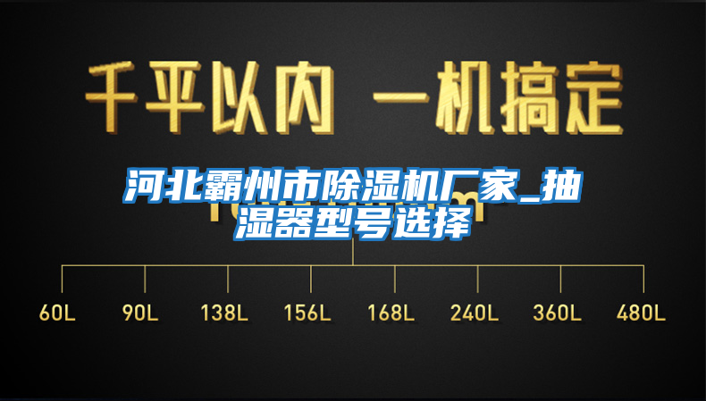 河北霸州市除濕機廠(chǎng)家_抽濕器型號選擇