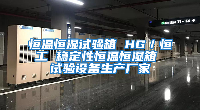 恒溫恒濕試驗箱 HG／恒工 穩定性恒溫恒濕箱 試驗設備生產(chǎn)廠(chǎng)家