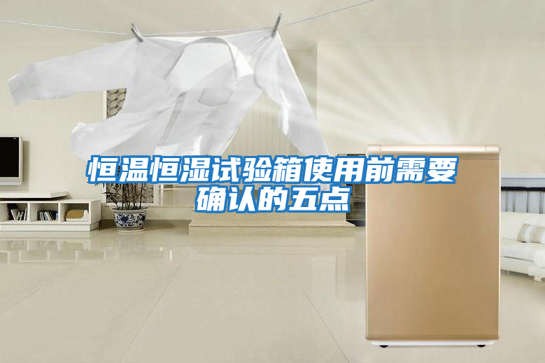 恒溫恒濕試驗箱使用前需要確認的五點(diǎn)