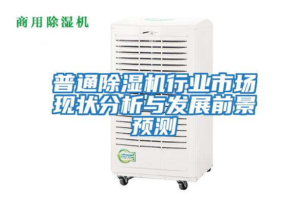 普通除濕機行業(yè)市場(chǎng)現狀分析與發(fā)展前景預測