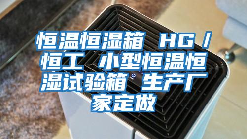 恒溫恒濕箱 HG／恒工 小型恒溫恒濕試驗箱 生產(chǎn)廠(chǎng)家定做
