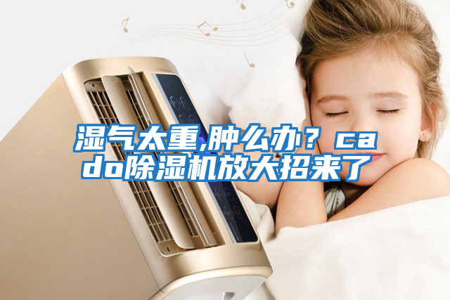 濕氣太重,腫么辦？cado除濕機放大招來(lái)了