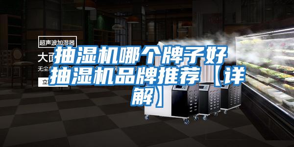 抽濕機哪個(gè)牌子好 抽濕機品牌推薦【詳解】