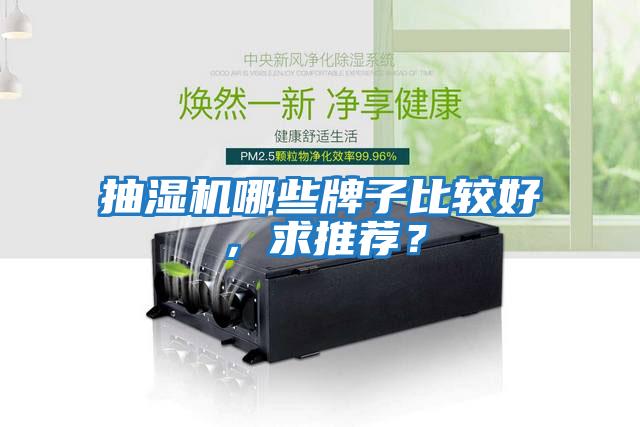 抽濕機哪些牌子比較好，求推薦？