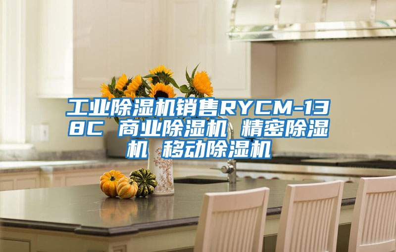 工業(yè)除濕機銷(xiāo)售RYCM-138C 商業(yè)除濕機 精密除濕機 移動(dòng)除濕機