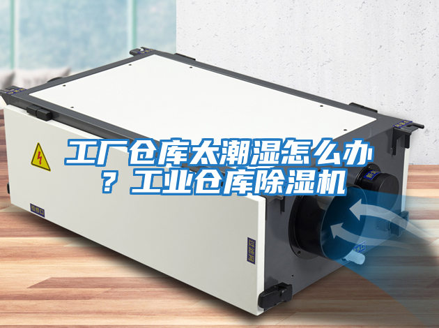 工廠(chǎng)倉庫太潮濕怎么辦？工業(yè)倉庫除濕機