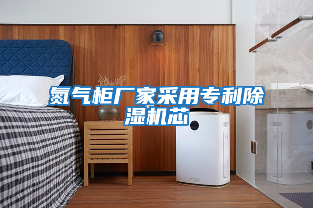 氮氣柜廠(chǎng)家采用專(zhuān)利除濕機芯