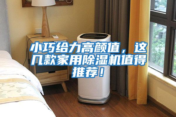 小巧給力高顏值，這幾款家用除濕機值得推薦！