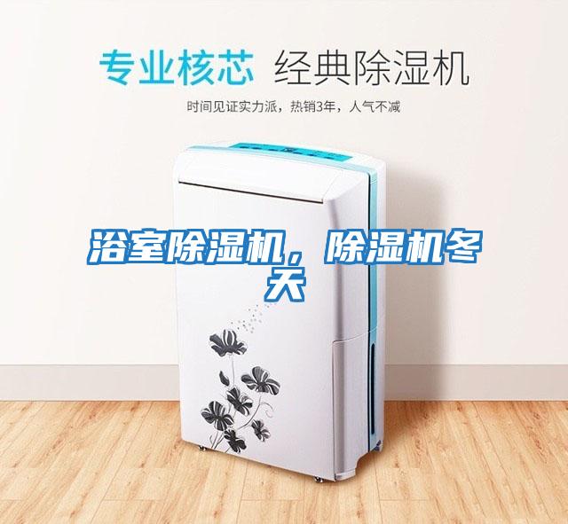 浴室除濕機，除濕機冬天
