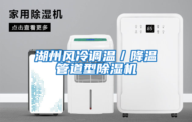 湖州風(fēng)冷調溫／降溫管道型除濕機