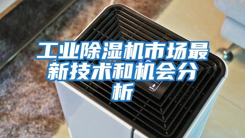 工業(yè)除濕機市場(chǎng)最新技術(shù)和機會(huì )分析