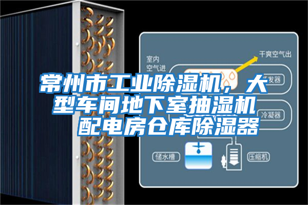 常州市工業(yè)除濕機，大型車(chē)間地下室抽濕機  配電房倉庫除濕器