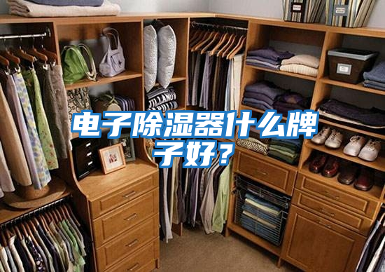 電子除濕器什么牌子好？