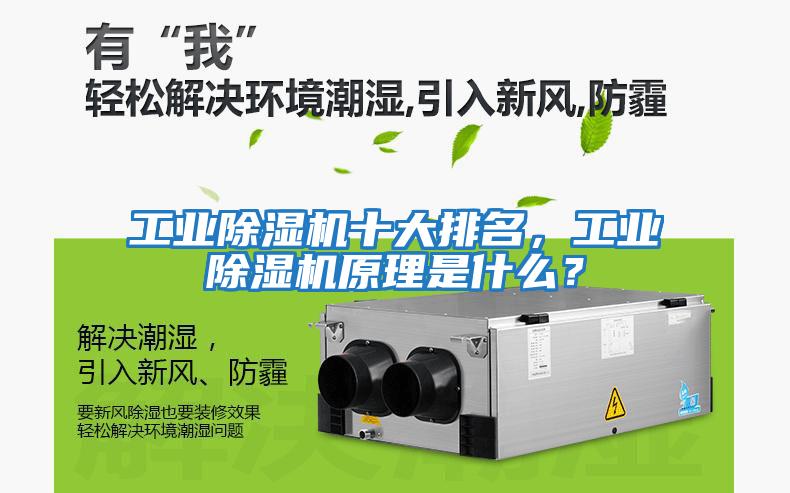 工業(yè)除濕機十大排名，工業(yè)除濕機原理是什么？
