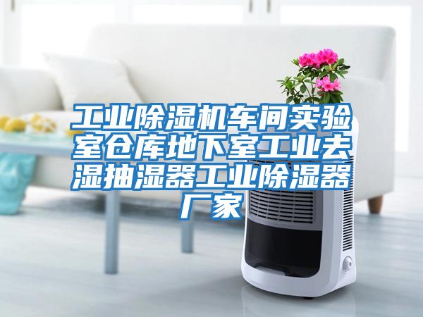 工業(yè)除濕機車(chē)間實(shí)驗室倉庫地下室工業(yè)去濕抽濕器工業(yè)除濕器廠(chǎng)家