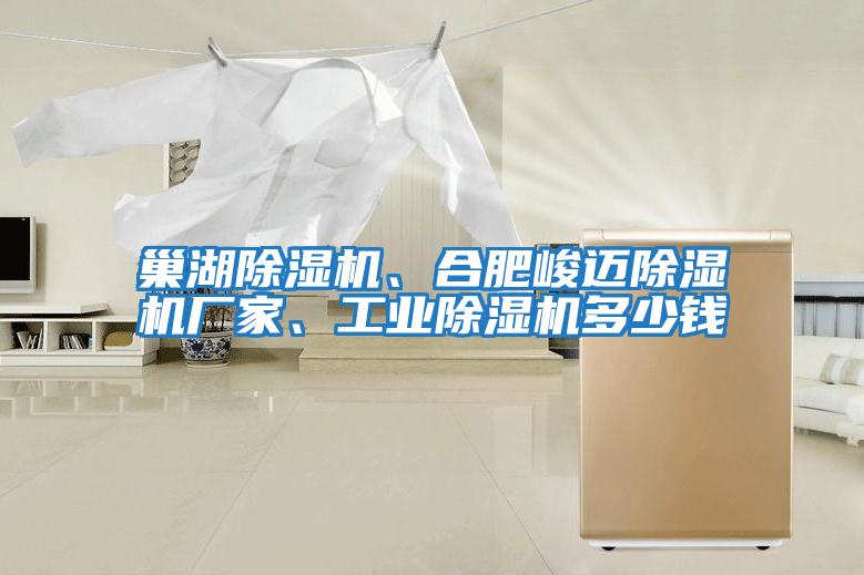 巢湖除濕機、合肥峻邁除濕機廠(chǎng)家、工業(yè)除濕機多少錢(qián)