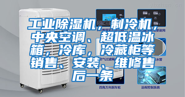 工業(yè)除濕機，制冷機，中央空調、超低溫冰箱，冷庫，冷藏柜等銷(xiāo)售、安裝、維修售后一條