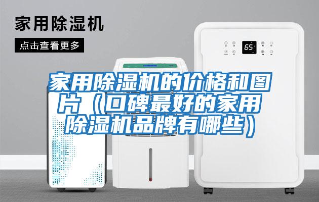 家用除濕機的價(jià)格和圖片（口碑最好的家用除濕機品牌有哪些）