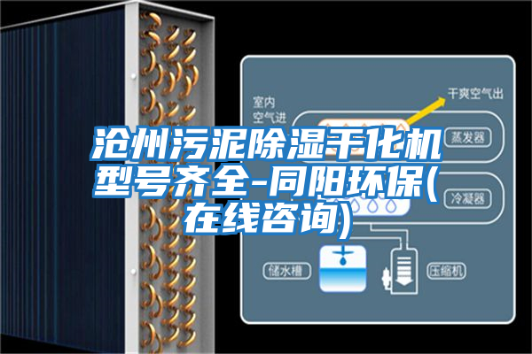 滄州污泥除濕干化機型號齊全-同陽(yáng)環(huán)保(在線(xiàn)咨詢(xún))