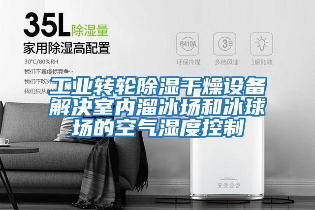 工業(yè)轉輪除濕干燥設備解決室內溜冰場(chǎng)和冰球場(chǎng)的空氣濕度控制