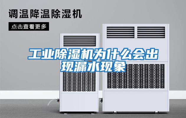 工業(yè)除濕機為什么會(huì )出現漏水現象
